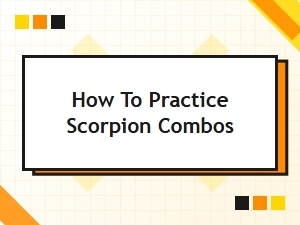 Scorpion Combo Practice for Beginners